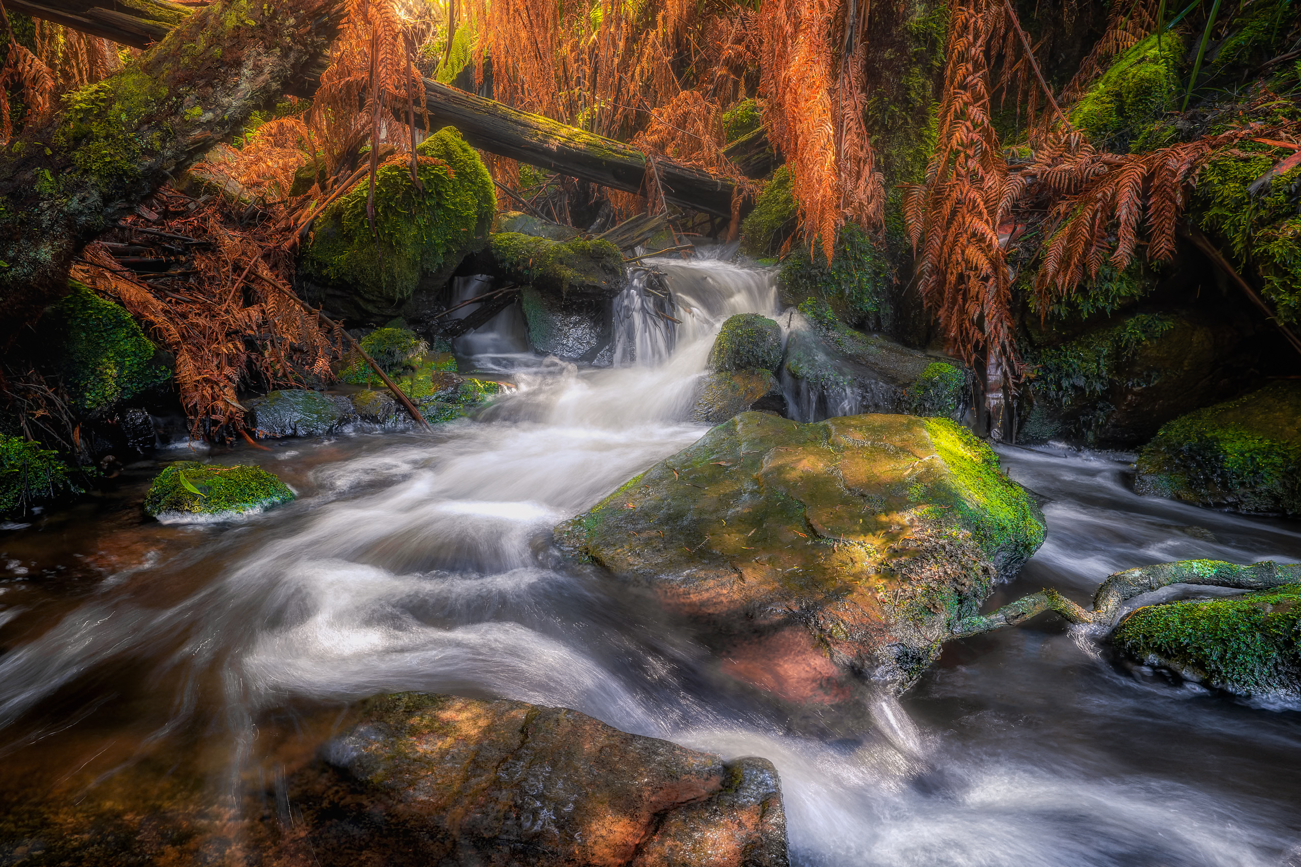 A Trickle Isn't Worth the Hike. Know Before You Go.