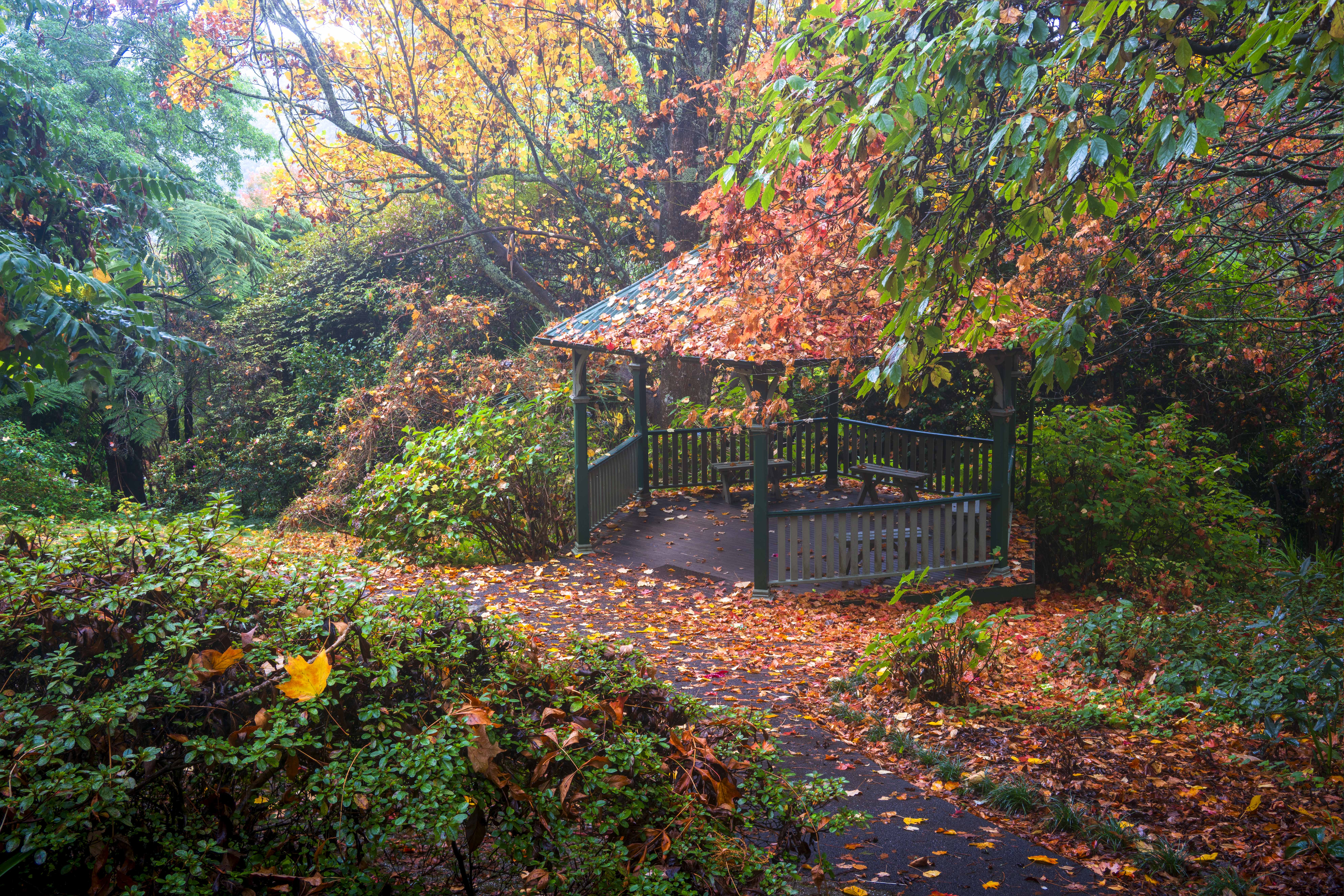 Garden gazebo surrounded by autumn foliage in morning mist